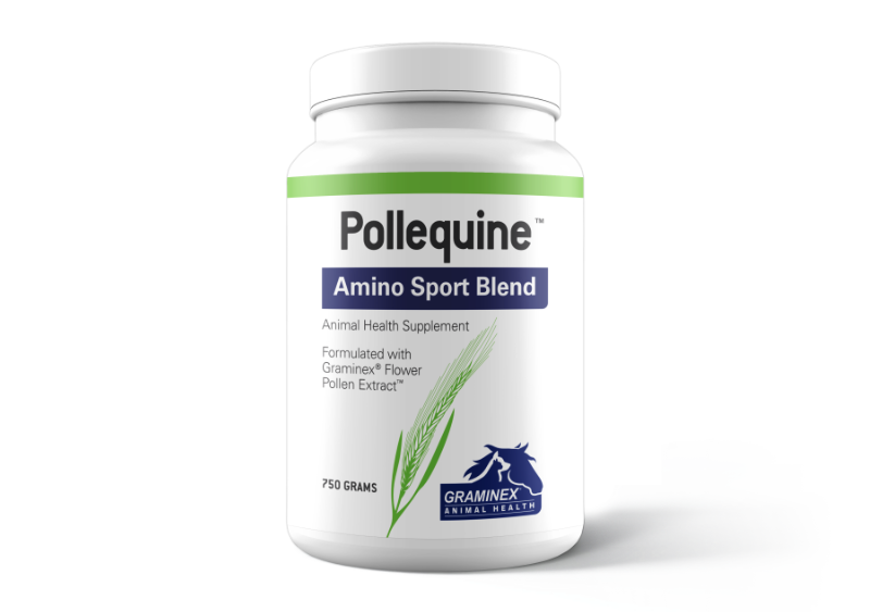 pollequine amino sport blend