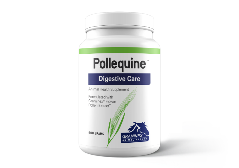 pollequine digestive care