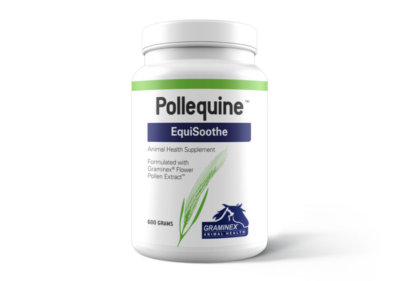 pollequine equisoothe