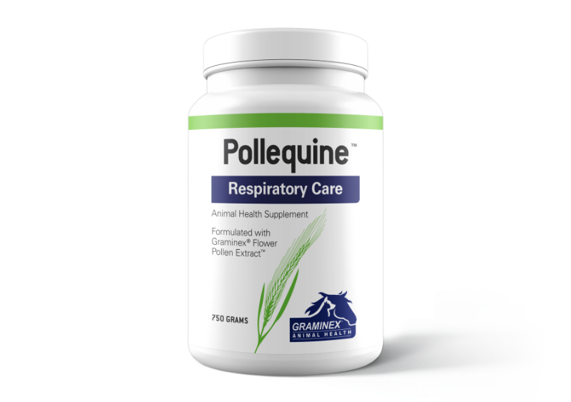 pollequine respiratory care